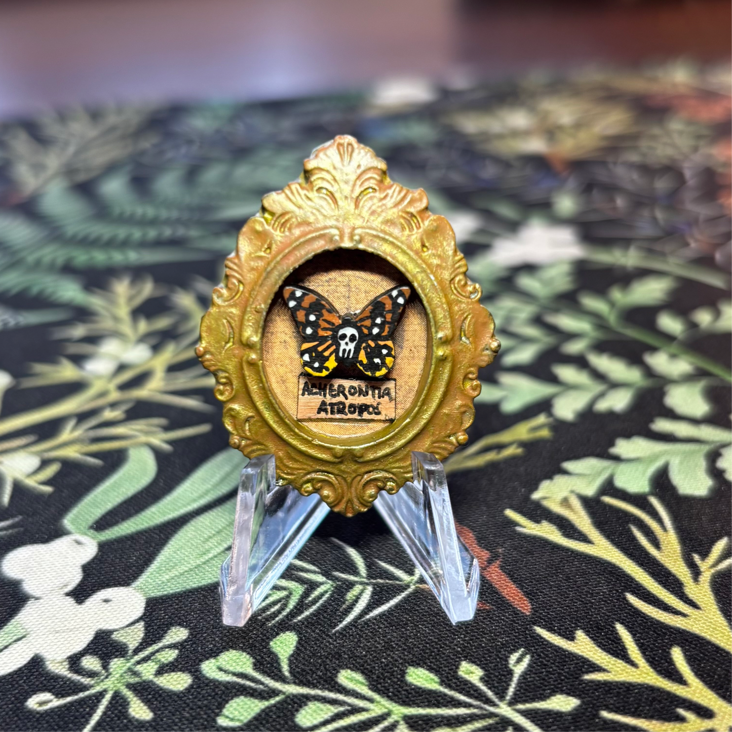 Original Super Mini Oval Framed Painting - Death's-head Moth