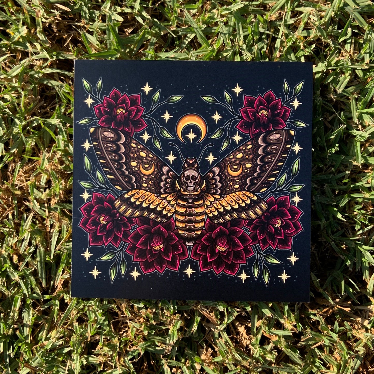 Death Moth 6x6 Print